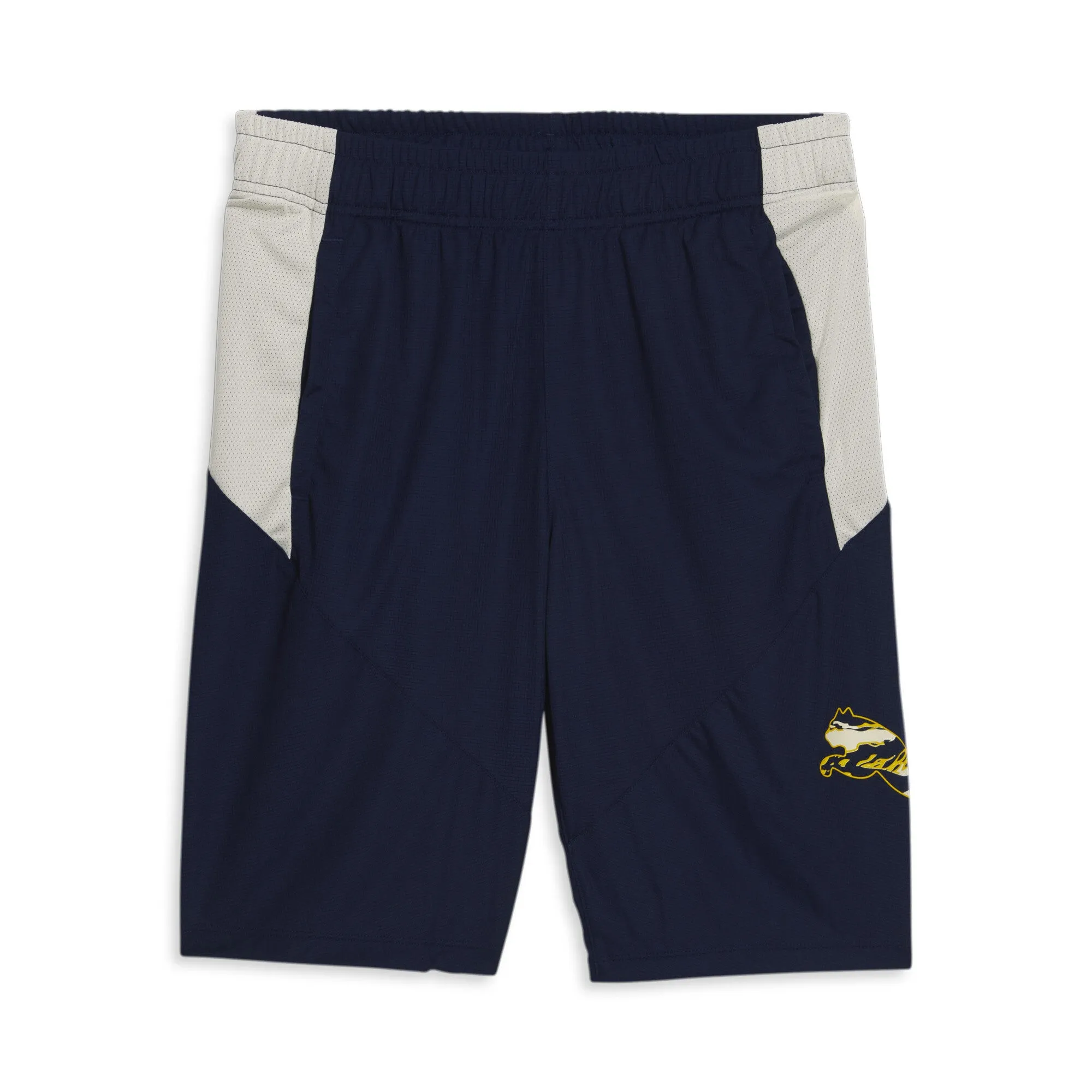 PUMA Men's Cat Training Shorts