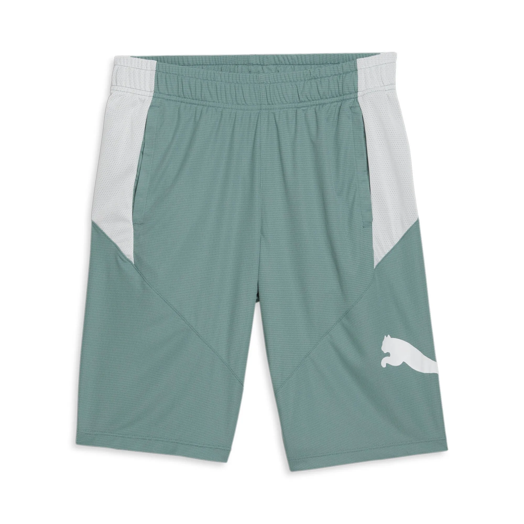 PUMA Men's Cat Training Shorts